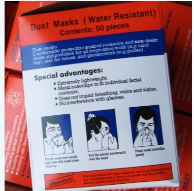 Disposable 3-Ply Face Mask