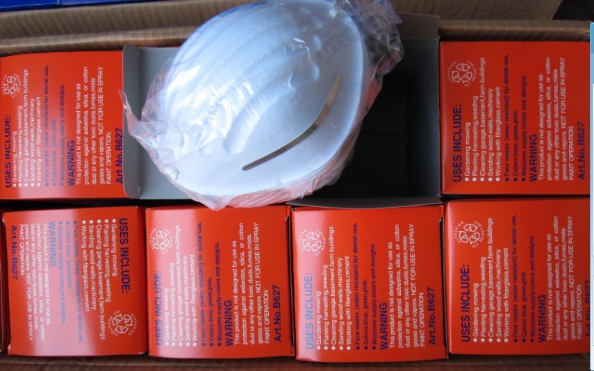 Disposable 3-Ply Face Mask